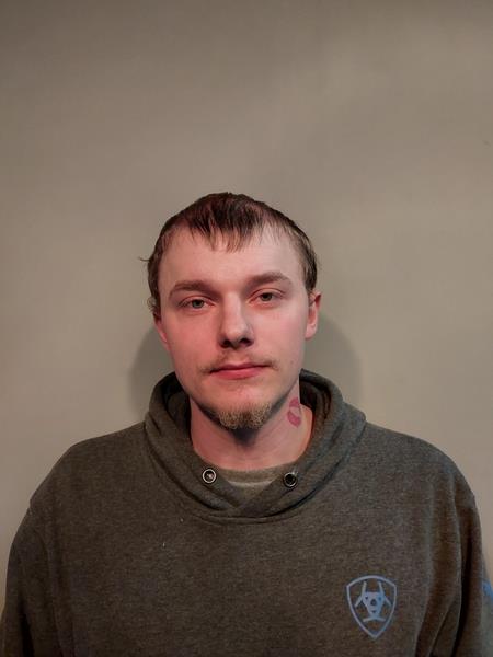 Mugshot of Dalton T Louthen