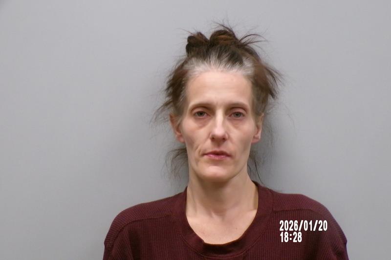 Mugshot of Sara Ann Chase