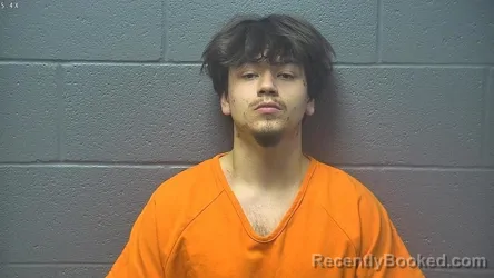 Mugshot of DAMIEN LEE THOMPSON