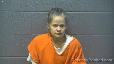 Mugshot of LISA MARIE SHELL