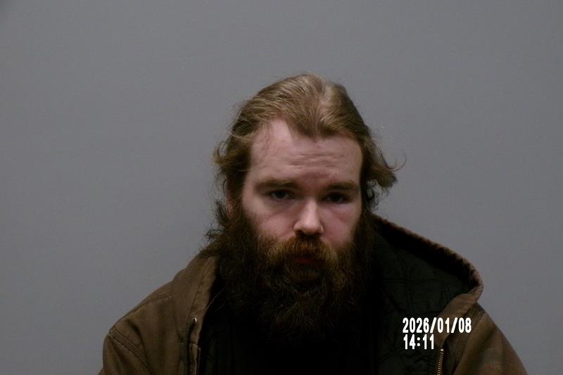 Mugshot of Logan David Hamm