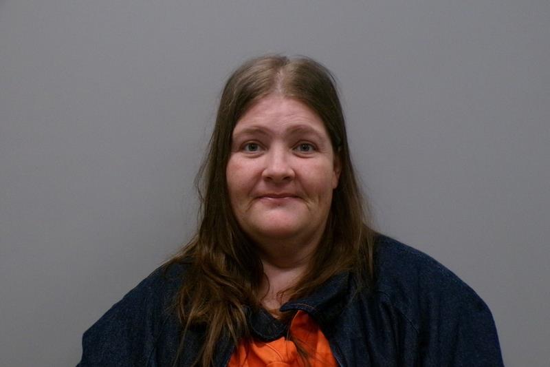 Mugshot of DARLENE RENEE CARPENTER