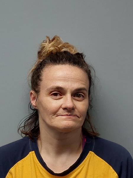 Mugshot of LISA DANIELLE ESTEP
