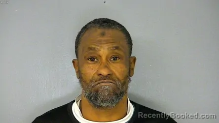 Mugshot of ALI BARBER PANNELL