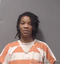 Mugshot of Brethya Charde Johnson