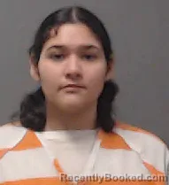 Mugshot of Yulissa Romero