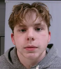 Mugshot of Daniel Mark Gillespie