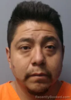 Mugshot of Ayala Fidel Martinez