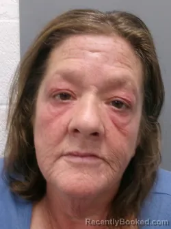 Mugshot of Darlene Patricia Sullivan