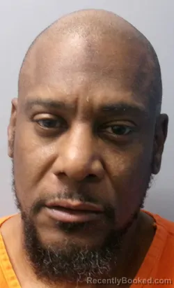 Mugshot of Julian Randolph Hollins