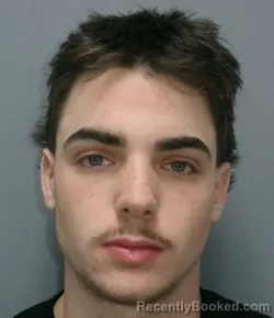 Mugshot of Walter Lee Hawkins