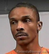 Mugshot of Dana Floyd Williams