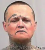 Booking photo from Cabell County, West Virginia