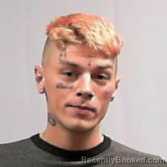 Mugshot of Roland Lee Greene