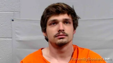 Mugshot of Adam Cordell Collins