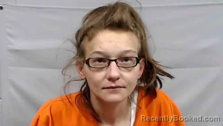Mugshot of Melinda Dawn Blankenship