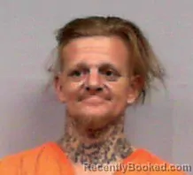 Mugshot of Wade Edward Mcintyre