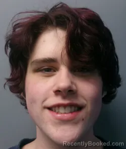 Mugshot of Brock Douglas Feeney