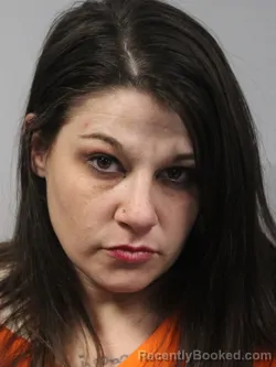 Mugshot of Brittany Nicole Hudnall