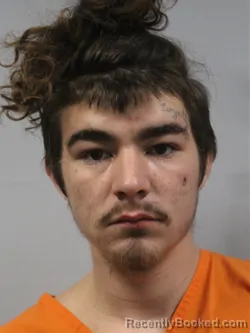 Mugshot of Dylan Andrew Young