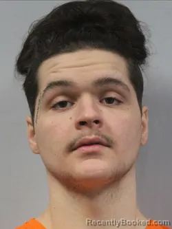 Mugshot of Luke Ronnieallen Thornton