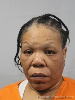 Mugshot of Loucinda Stephens