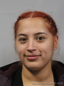 Mugshot of Olivia Page Libby