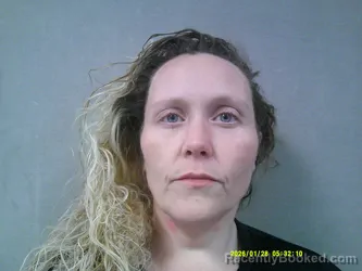 Booking photo from Lewis County, West Virginia