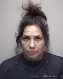 Mugshot of SILVIA JEANNETH CHAVEZ