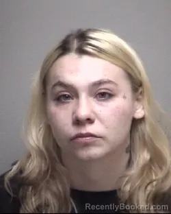 Mugshot of ARIEL STORM WILEMAN