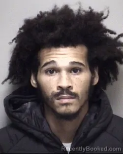 Mugshot of DELORENZO MARIO RISHWORTH