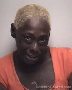 Mugshot of WANDA ANNETTE WILLIAMS