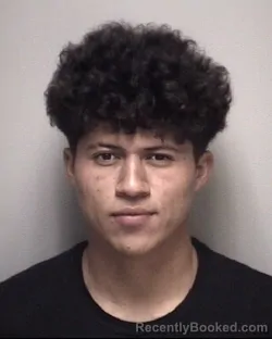 Mugshot of INMER YOEL MEJIA BENITEZ