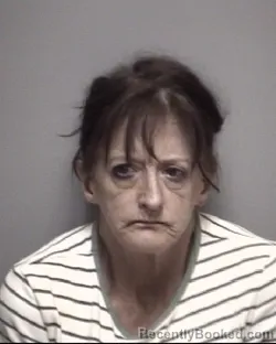 Mugshot of ANNE FRANCES COMSTOCK