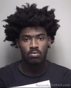 Mugshot of TERRY LEE WILLIAMS