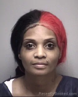 Mugshot of PATRICE CHANELL FAIR