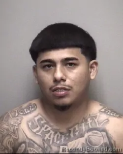 Mugshot of ROBERTO . HERNANDEZ