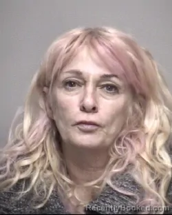 Mugshot of WENDI LEA MCDANIEL
