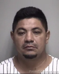 Mugshot of ERVIN . MEZA MAQUEZ