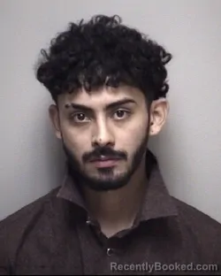 Mugshot of LUIS JESUS GONZALEZ
