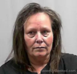 Booking photo from Lincoln County, West Virginia