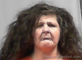 Mugshot of Melissa Dawn Fulks