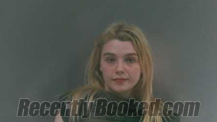 Booking photo from Logan County, West Virginia