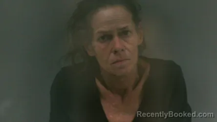 Mugshot of Darlene Lamason