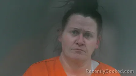 Booking photo from Logan County, West Virginia