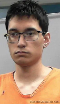 Mugshot of Saumani Dominick Papalii