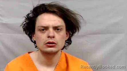 Mugshot of Dillon Mason Powers