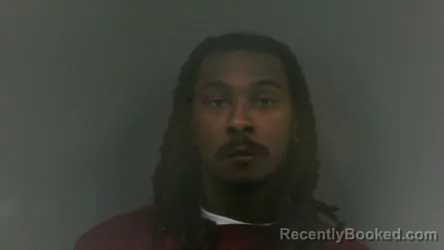 Booking photo from Mingo County, West Virginia