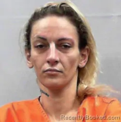 Mugshot of Brittany Sue High