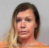 Mugshot of Laurie Ann Henigin